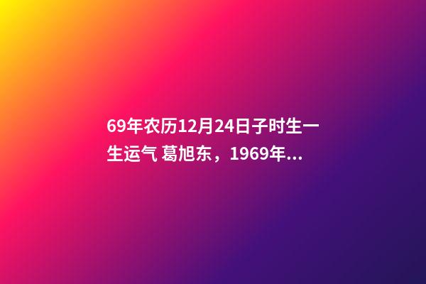 69年农历12月24日子时生一生运气 葛旭东，1969年12月24日子时出生帮忙算一下运势-第1张-观点-玄机派